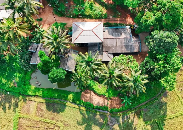 Rainforest Nest